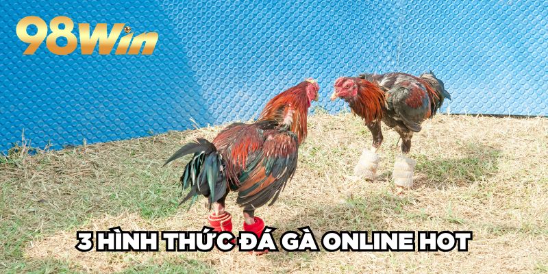 Đá Gà Trực Tuyến 98win| Sân Chơi Cược Kê Xanh Chín TOP 1 3 3 hình thức đá gà online HOT