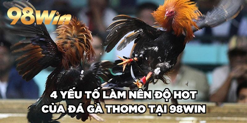 Đá Gà Trực Tiếp Ở Thomo 98win| Hội Tụ Các Trận Đấu Đỉnh Cao 3 4 yếu tố làm nên độ HOT của đá gà Thomo tại 98win