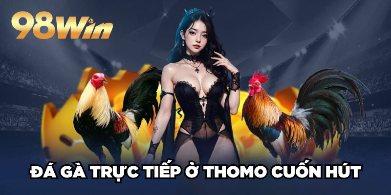 Đá Gà Trực Tiếp Ở Thomo 98win| Hội Tụ Các Trận Đấu Đỉnh Cao 2 Đá gà trực tiếp ở Thomo cuốn hút