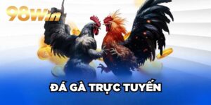 Đá Gà Trực Tuyến 98win| Sân Chơi Cược Kê Xanh Chín TOP 1