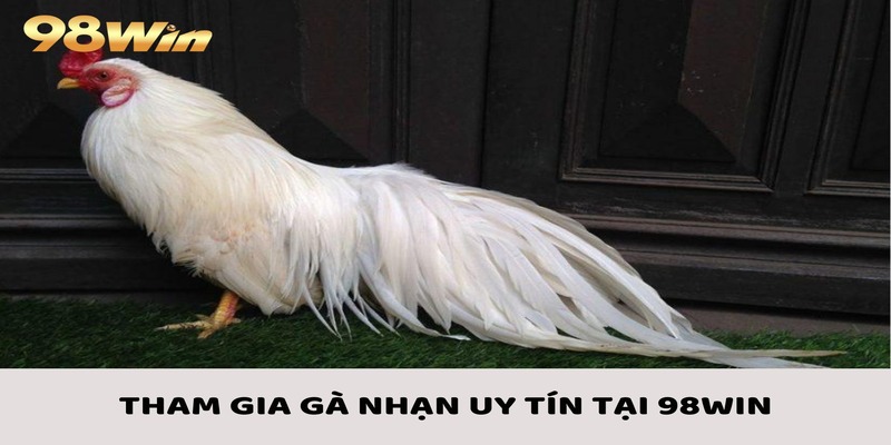 Gà Nhạn - Nét Đặc Trưng Và Khám Phá Luật Tham Gia 3 Lựa chọn nhà cái 98win uy tín để tham gia đá gà nhạn