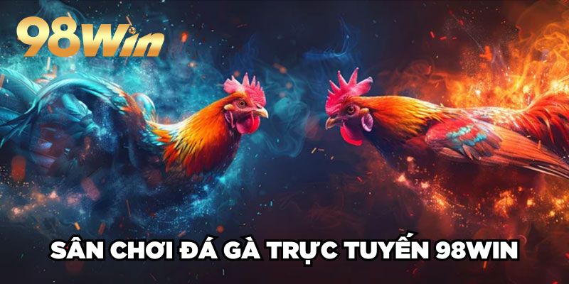 Đá Gà Trực Tuyến 98win| Sân Chơi Cược Kê Xanh Chín TOP 1 2 Sân chơi đá gà trực tuyến 98win