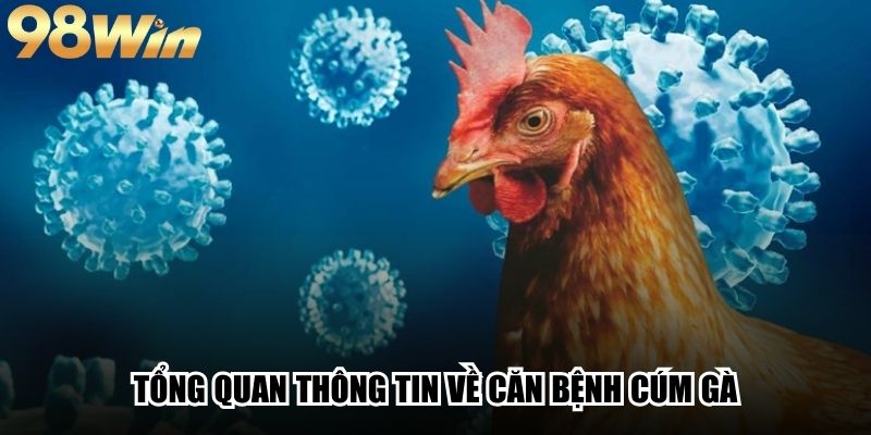 Bệnh Cúm Gà - Dấu Hiệu Nhận Biết Và Cách Phòng Ngừa 2 Tổng quan thông tin về căn bệnh cúm gà
